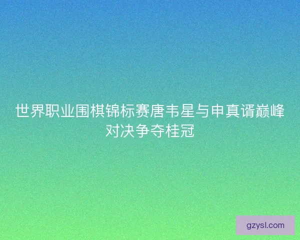 世界职业围棋锦标赛唐韦星与申真谞巅峰对决争夺桂冠